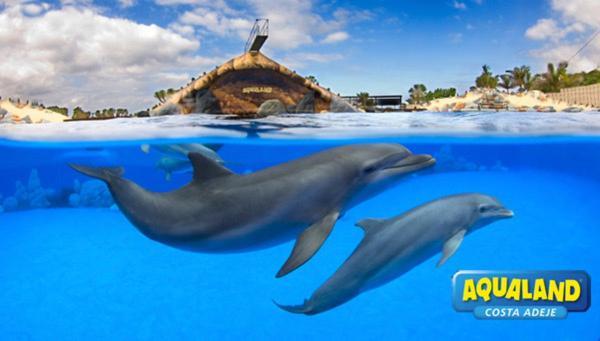 Royal Ocean View - Top Localization Адехе Екстер'єр фото